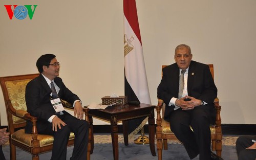 Vietnam, Egypt discuss economic development experience - ảnh 1